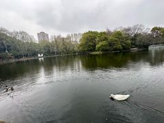 -鲁迅公园-垂钓中心