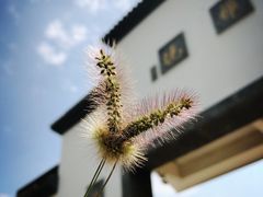 -青岛大珠山景区