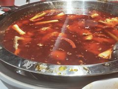-蜀滋香鲜鱼美蛙火锅(339店)