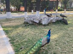 -西昌邛海宾馆