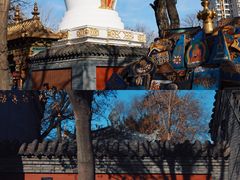 -护国法轮寺