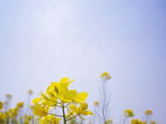-西海岸生态观光园