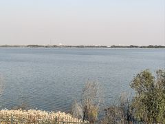 -江滩湿地公园