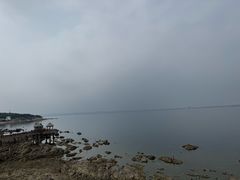 -养马岛旅游度假区