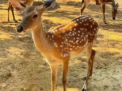 -南戴河国际娱乐中心