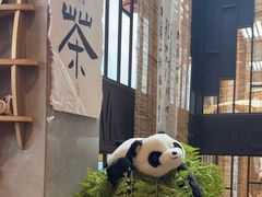 -茶去咖啡屋(武侯祠店)