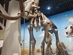 -国家自然博物馆