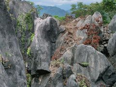 -玉石林风景区