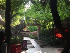 -横店影视城梦幻谷园区