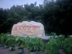 -莲花池公园