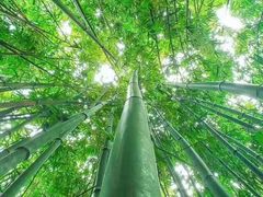 -马洛雷勒花园