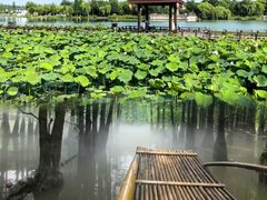 -尚湖风景区