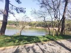 -南京市无想山景区