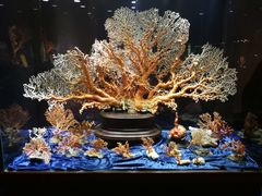 -绮丽珊瑚博物馆(台东店)