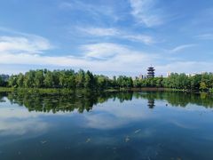 -洋湖国家湿地公园
