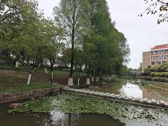 -厦门国家会计学院