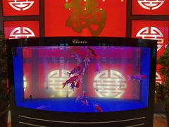 -老六杀猪菜(进乡街店)