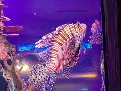 -沈阳海洋探索中心