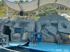 -泉州海丝野生动物世界