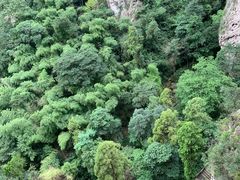 -雁荡山风景名胜区