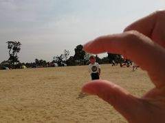 -艾溪湖湿地公园