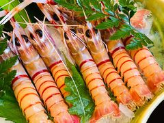 -Mr.Fish鱼鲜生海鲜放题(高德置地冬广场店)