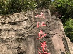 -铁山坪森林公园