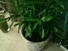 -雲际仙境足浴·影院式·养生·SPA(火车站店)