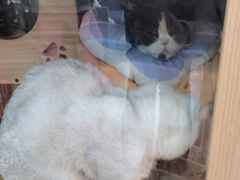 -悠米私人影院(街道口店)