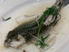 -稻香酒家·35年老字号(侨光店)