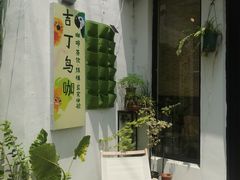 -吉丁鸟咖·异宠·寄养
