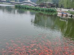 -西海子公园