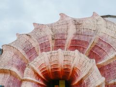 -梦幻奥陶纪景区