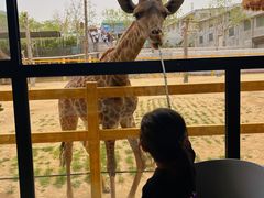 -西霞口神雕山野生动物世界