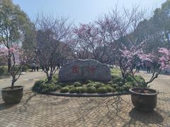 -上海海湾国家森林公园