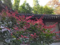 -秋霞圃