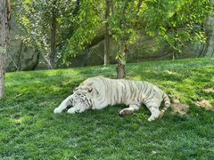 -北京野生动物园