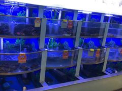-七欣天香辣蟹火锅(上海银亿滨江店)