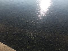 -黑石礁公园