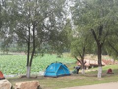 -丁香湖公园