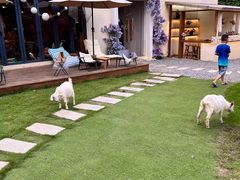 -HERRE·FARM 赫尔露营农场·团建聚会包场