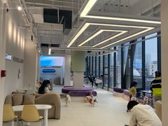 -怪兽屋·羊驼·猫咖·狗咖(俊华广场店)