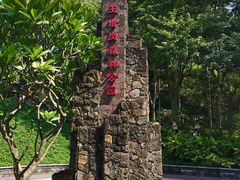 -王借岗森林公园