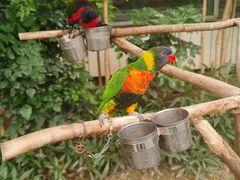 -南宫五洲植物乐园