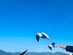 -海埂大坝