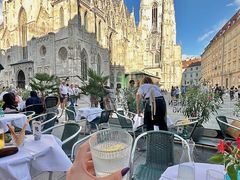 -斯蒂芬主教座堂(Stephansdom)
