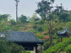 -红花山公园