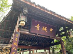 -青城甲(青城山店)