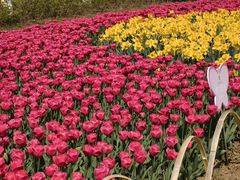 -玄武湖景区-情侣园游乐场