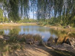 -长白岛森林公园